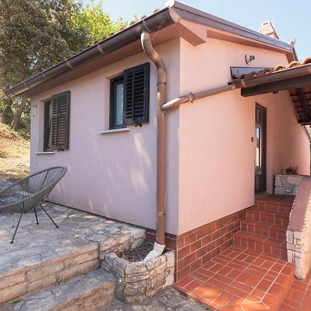 Apartment Niko Pula Zewnętrze zdjęcie